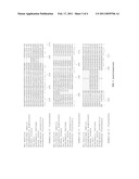 NEW MUTATED HYDROXYPHENYLPYRUVATE DIOXYGENASE, DNA SEQUENCE AND ISOLATION OF PLANTS WHICH ARE TOLERANT TO HPPD INHIBITOR HERBICIDES diagram and image