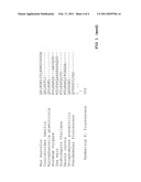 NEW MUTATED HYDROXYPHENYLPYRUVATE DIOXYGENASE, DNA SEQUENCE AND ISOLATION OF PLANTS WHICH ARE TOLERANT TO HPPD INHIBITOR HERBICIDES diagram and image