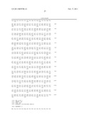 NEW MUTATED HYDROXYPHENYLPYRUVATE DIOXYGENASE, DNA SEQUENCE AND ISOLATION OF PLANTS WHICH ARE TOLERANT TO HPPD INHIBITOR HERBICIDES diagram and image