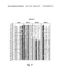 METHODS AND NUCLEIC ACIDS FOR THE ANALYSES OF CELLULAR PROLIFERATIVE DISORDERS diagram and image