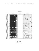 METHODS AND NUCLEIC ACIDS FOR THE ANALYSES OF CELLULAR PROLIFERATIVE DISORDERS diagram and image