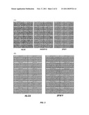 METHOD FOR DETECTING CHROMOSOMAL ANEUPLOIDY diagram and image