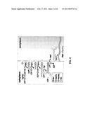 GLYCOSYLATED PROTEIN EXPRESSION IN PROKARYOTES diagram and image