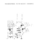 GLYCOSYLATED PROTEIN EXPRESSION IN PROKARYOTES diagram and image