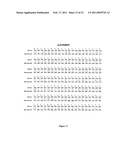 GLYCOSYLATED PROTEIN EXPRESSION IN PROKARYOTES diagram and image