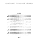 GLYCOSYLATED PROTEIN EXPRESSION IN PROKARYOTES diagram and image