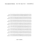 GLYCOSYLATED PROTEIN EXPRESSION IN PROKARYOTES diagram and image