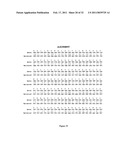 GLYCOSYLATED PROTEIN EXPRESSION IN PROKARYOTES diagram and image