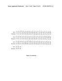 GLYCOSYLATED PROTEIN EXPRESSION IN PROKARYOTES diagram and image