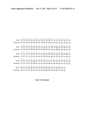 GLYCOSYLATED PROTEIN EXPRESSION IN PROKARYOTES diagram and image