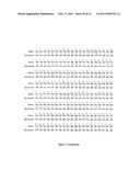 GLYCOSYLATED PROTEIN EXPRESSION IN PROKARYOTES diagram and image