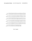 GLYCOSYLATED PROTEIN EXPRESSION IN PROKARYOTES diagram and image