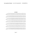 GLYCOSYLATED PROTEIN EXPRESSION IN PROKARYOTES diagram and image