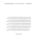 GLYCOSYLATED PROTEIN EXPRESSION IN PROKARYOTES diagram and image