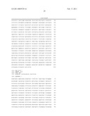 GLYCOSYLATED PROTEIN EXPRESSION IN PROKARYOTES diagram and image