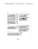 SMALL HUMANIN-LIKE PEPTIDES diagram and image