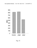 SMALL HUMANIN-LIKE PEPTIDES diagram and image