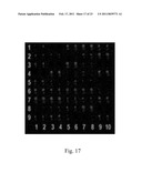 SMALL HUMANIN-LIKE PEPTIDES diagram and image