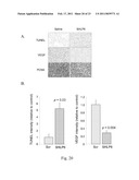 SMALL HUMANIN-LIKE PEPTIDES diagram and image