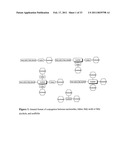 SUBSTITUTED NUCLEOSIDE DERIVATIVES WITH ANTIVIRAL AND ANTIMICROBIAL PROPERTIES diagram and image