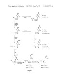 SUBSTITUTED NUCLEOSIDE DERIVATIVES WITH ANTIVIRAL AND ANTIMICROBIAL PROPERTIES diagram and image