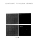 SUBSTITUTED NUCLEOSIDE DERIVATIVES WITH ANTIVIRAL AND ANTIMICROBIAL PROPERTIES diagram and image