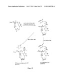 SUBSTITUTED NUCLEOSIDE DERIVATIVES WITH ANTIVIRAL AND ANTIMICROBIAL PROPERTIES diagram and image