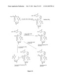 SUBSTITUTED NUCLEOSIDE DERIVATIVES WITH ANTIVIRAL AND ANTIMICROBIAL PROPERTIES diagram and image