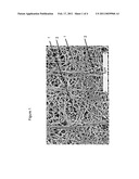 Expandable Functional TFE Copolymer Fine Powder, the Expanded Functional Products Obtained Therefrom and Reaction of the Expanded Products diagram and image