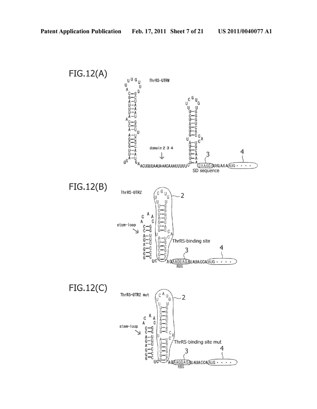 Protein-Responsive Translational Regulatory System Using RNA-Protein Interacting Motif - diagram, schematic, and image 08