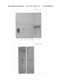 METHOD FOR EXTRACTING SIALIC ACID-CONTAINING COMPOUND FROM PLANT diagram and image