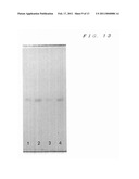 METHOD FOR EXTRACTING SIALIC ACID-CONTAINING COMPOUND FROM PLANT diagram and image