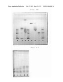 METHOD FOR EXTRACTING SIALIC ACID-CONTAINING COMPOUND FROM PLANT diagram and image