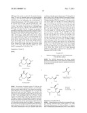 PEPTIDE TURN MIMETICS diagram and image