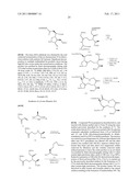 PEPTIDE TURN MIMETICS diagram and image