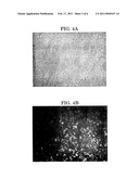 [1]BENZOTHIENO[3,2-B][1]BENZOTHIOPHENE COMPOUND AND METHOD FOR PRODUCING THE SAME, AND ORGANIC ELECTRONIC DEVICE USING THE SAME diagram and image