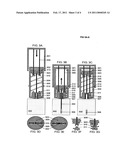 DEVICES FOR THE ADMINISTRATION OF DRUGS AND VACCINES IN THE FORM OF INJECTABLE NEEDLES diagram and image