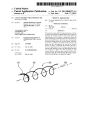 COILED ASSEMBLY FOR SUPPORTING THE WALL OF A LUMEN diagram and image