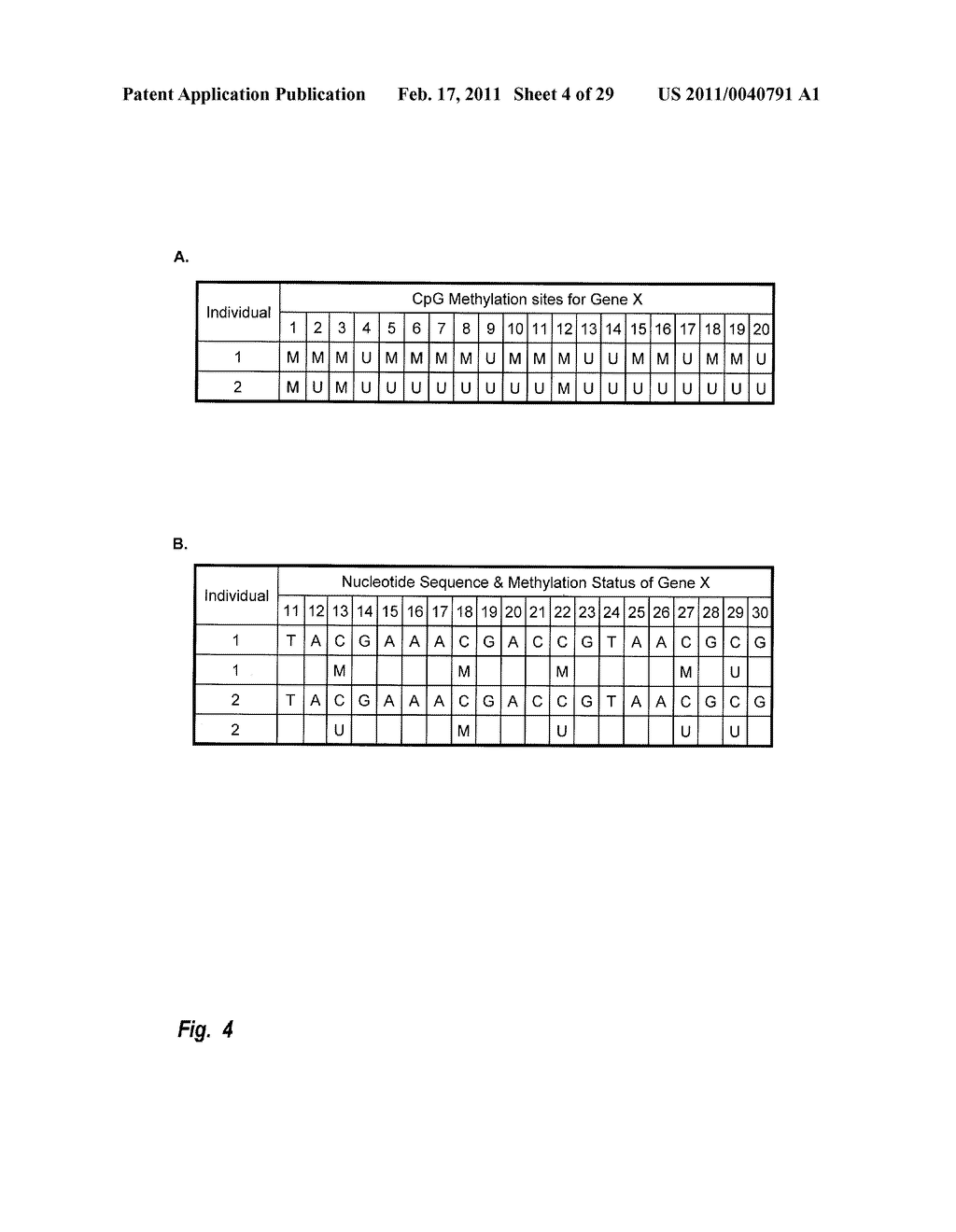 Weight and Diet Attribute Combination Discovery - diagram, schematic, and image 05