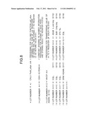 SIMD PARALLEL COMPUTER SYSTEM, SIMD PARALLEL COMPUTING METHOD, AND CONTROL PROGRAM diagram and image