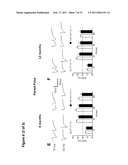 Animal model, and products and methods useful for the production thereof diagram and image