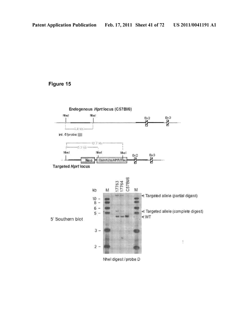 Animal model, and products and methods useful for the production thereof - diagram, schematic, and image 42