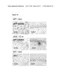 Animal model, and products and methods useful for the production thereof diagram and image