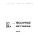 I-MSOI HOMING ENDONUCLEASE VARIANTS HAVING NOVEL SUBSTRATE SPECIFICITY AND USE THEREOF diagram and image