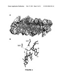 I-MSOI HOMING ENDONUCLEASE VARIANTS HAVING NOVEL SUBSTRATE SPECIFICITY AND USE THEREOF diagram and image