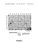 I-MSOI HOMING ENDONUCLEASE VARIANTS HAVING NOVEL SUBSTRATE SPECIFICITY AND USE THEREOF diagram and image