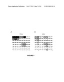 I-MSOI HOMING ENDONUCLEASE VARIANTS HAVING NOVEL SUBSTRATE SPECIFICITY AND USE THEREOF diagram and image