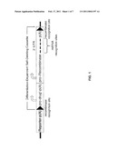 Promoter-Regulated Differentiation-Dependent Self-Deleting Cassette diagram and image