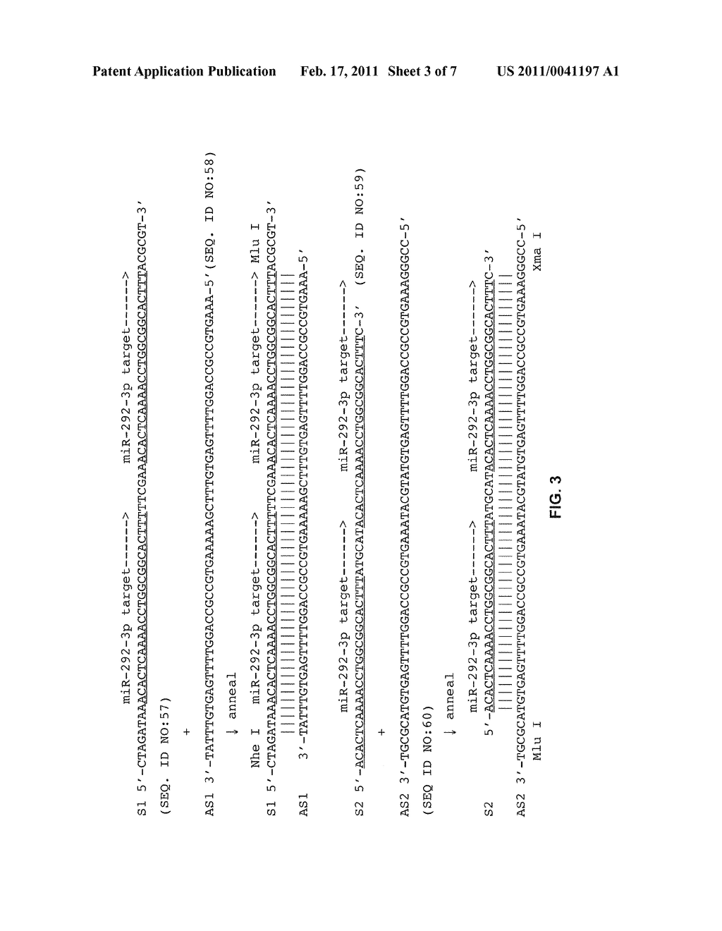 Promoter-Regulated Differentiation-Dependent Self-Deleting Cassette - diagram, schematic, and image 04