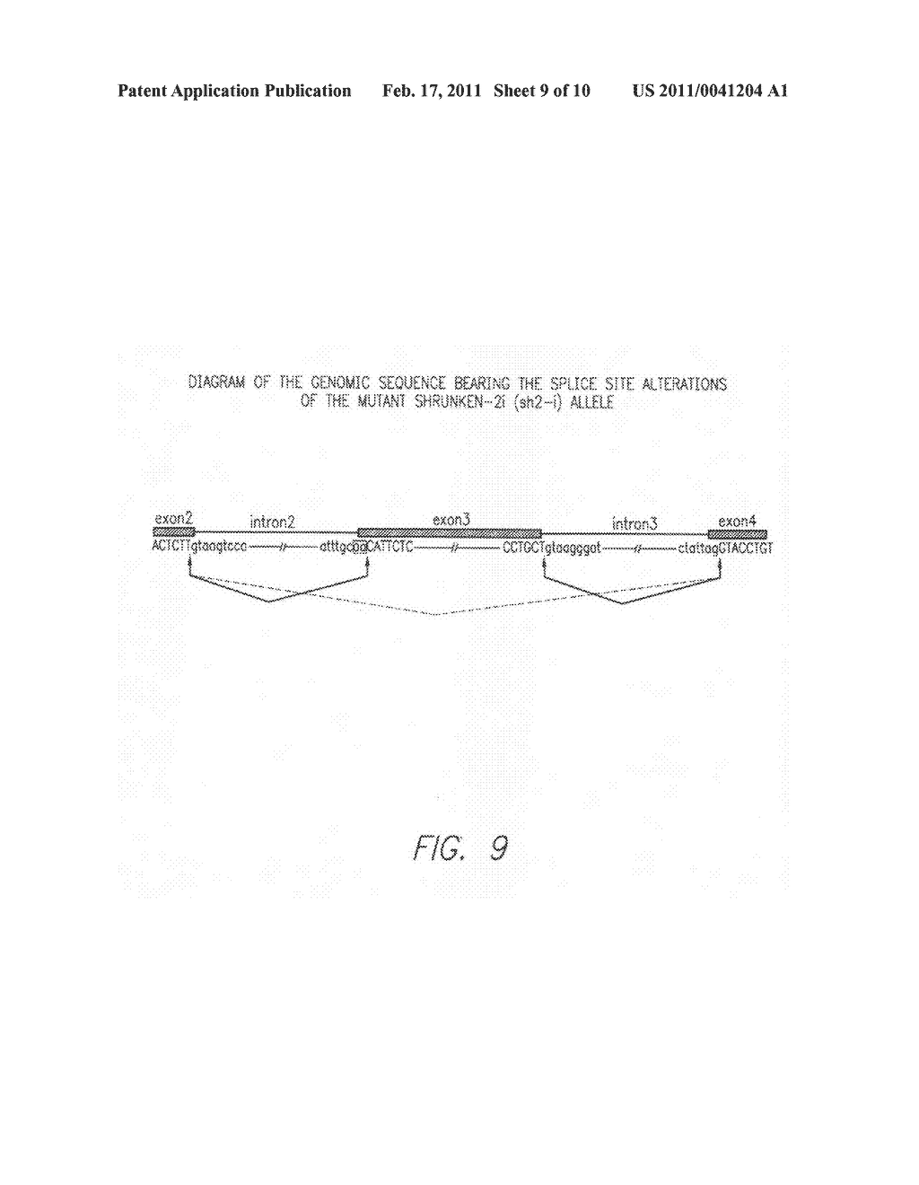 Methods for enhancing the production and consumer traits of plants - diagram, schematic, and image 10